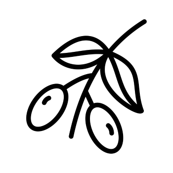 Mediteraneo